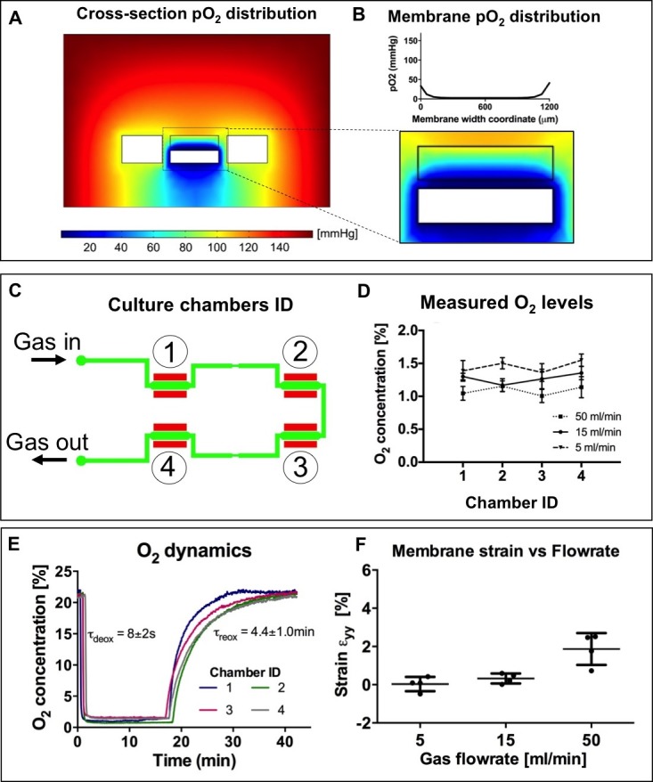 Figure 5—figure supplement 2.