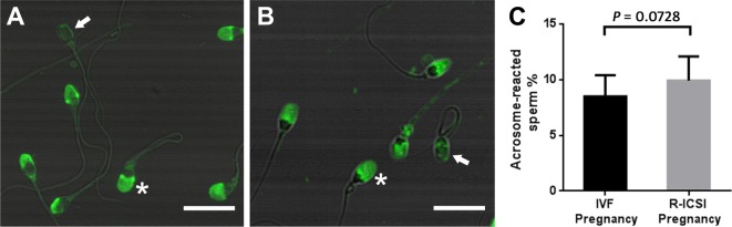 Fig. 2