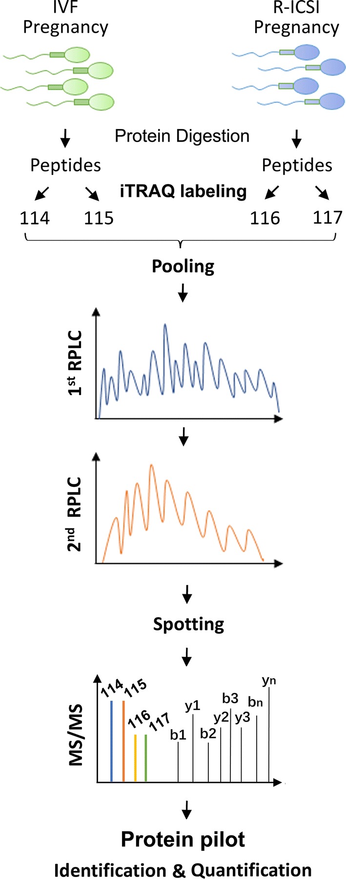 Fig. 3