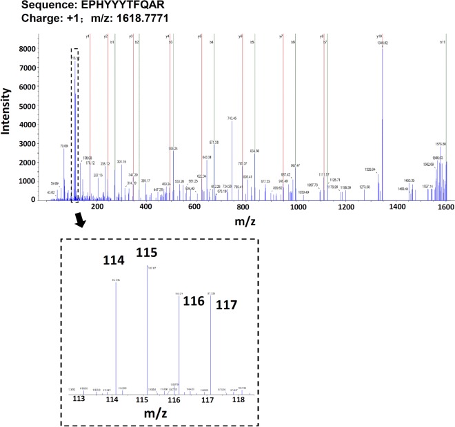 Fig. 4