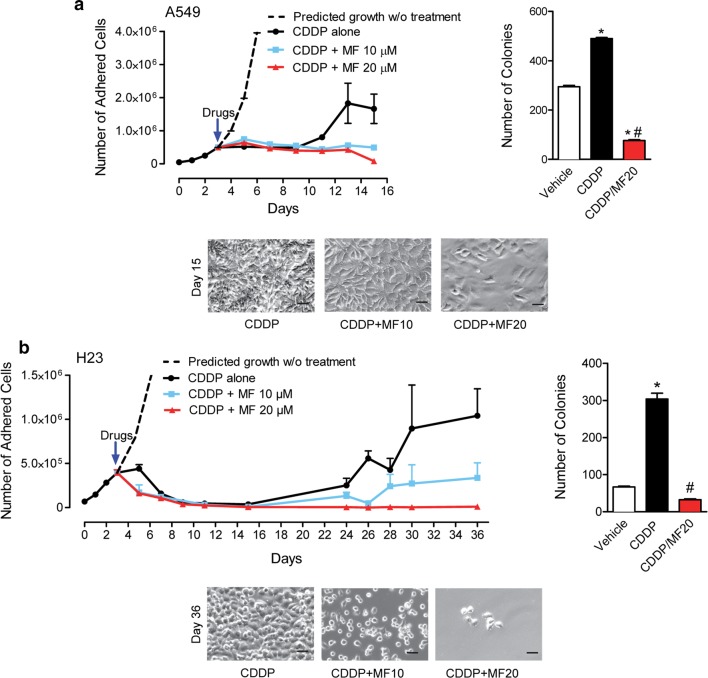 Fig. 4