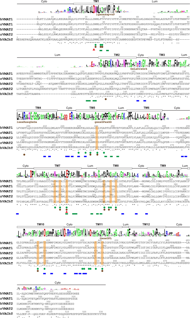 Extended Data Fig. 6 |