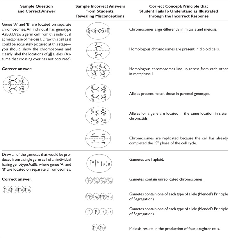 graphic file with name jmbe-20-35t1a.jpg