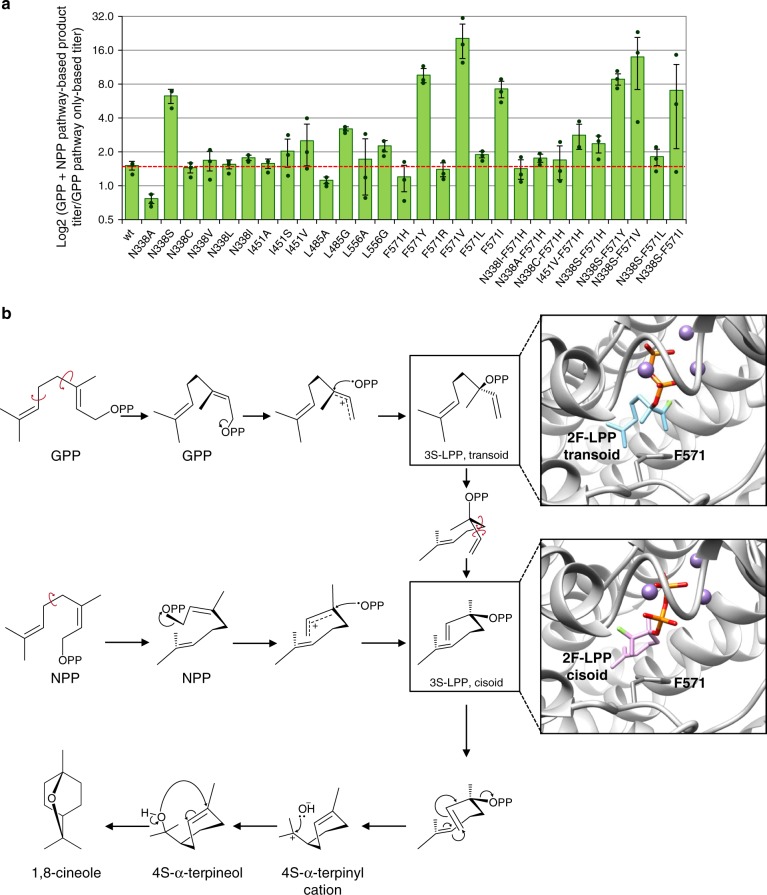 Fig. 4