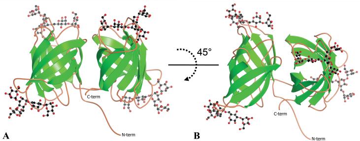 FIGURE 3