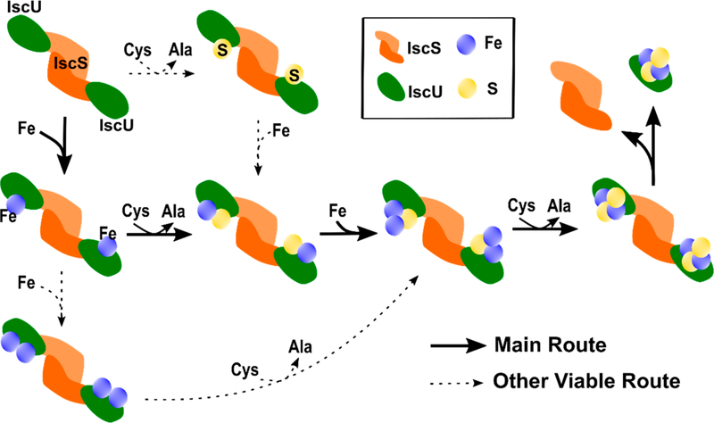 Figure 6.