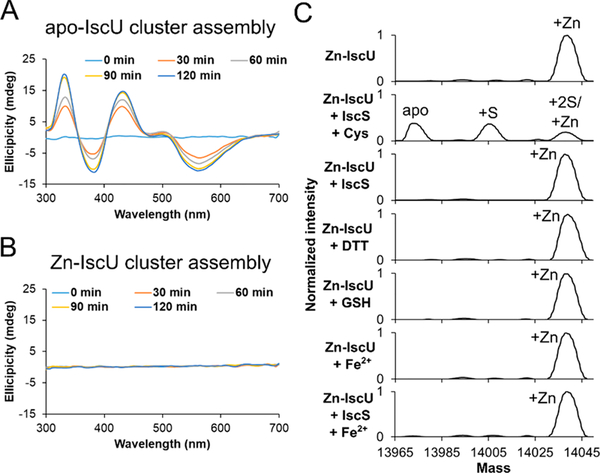 Figure 3.