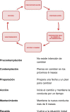 Figura 1