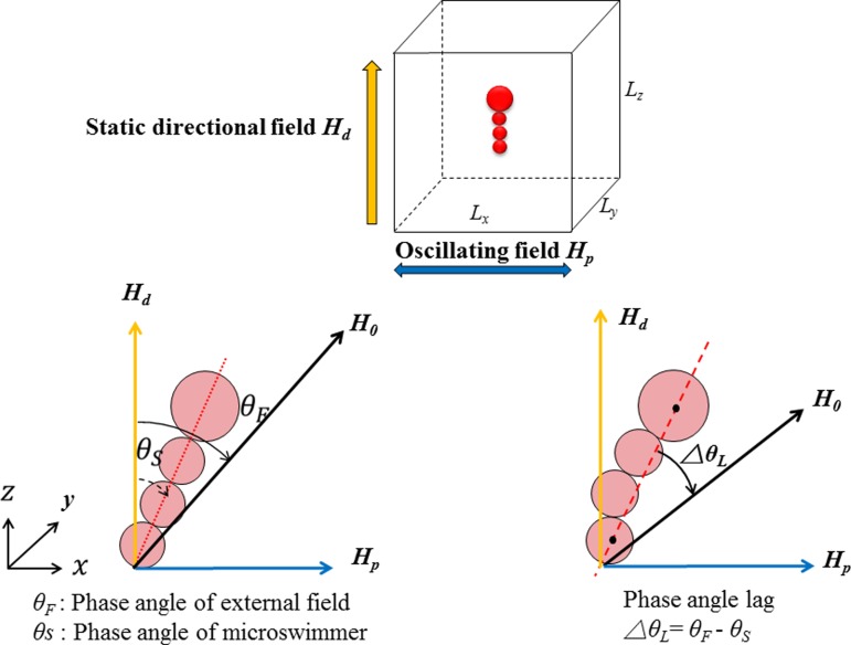 FIG. 2.