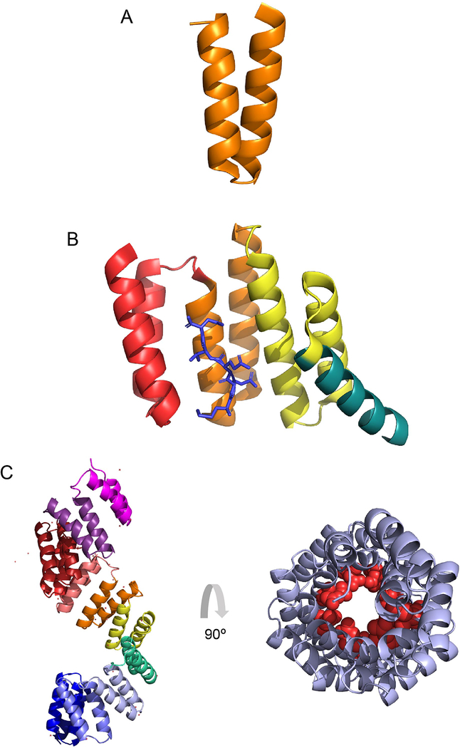 Figure 1.