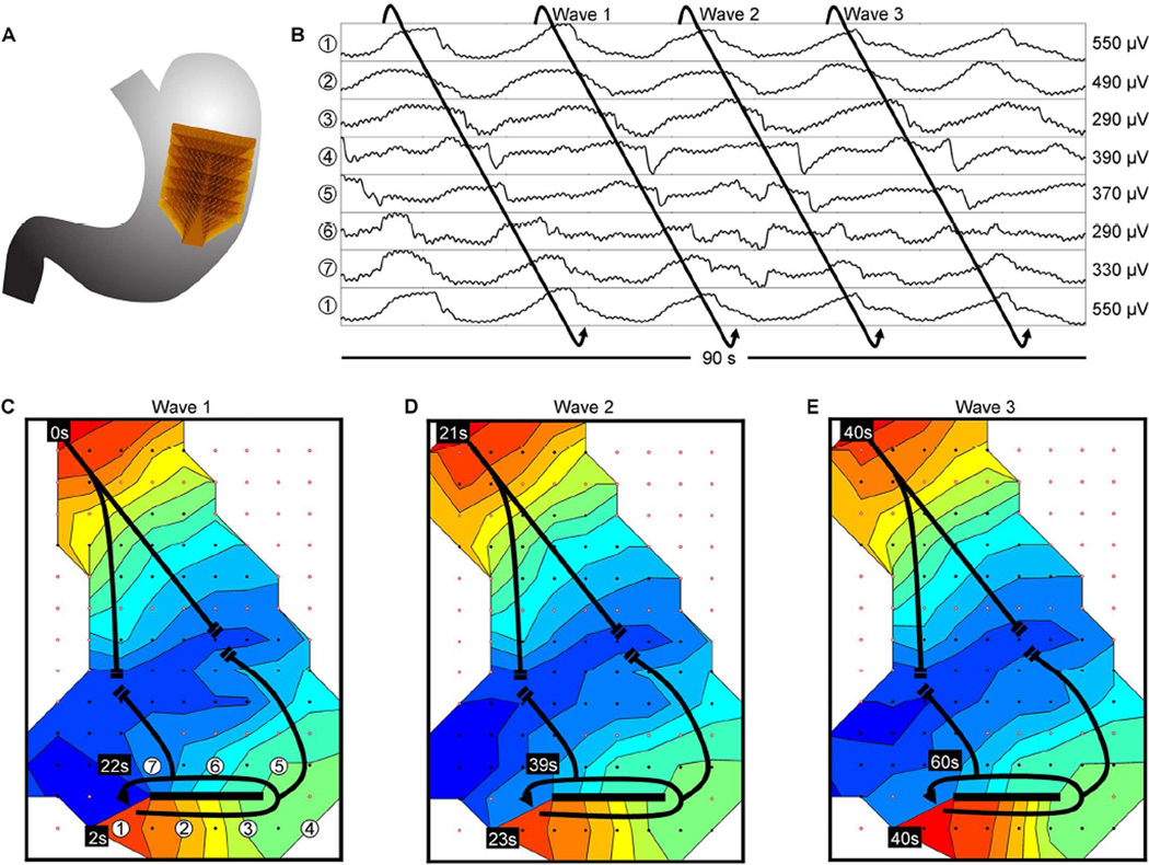 Figure 6