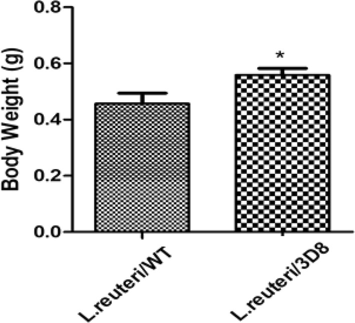 Fig. 3