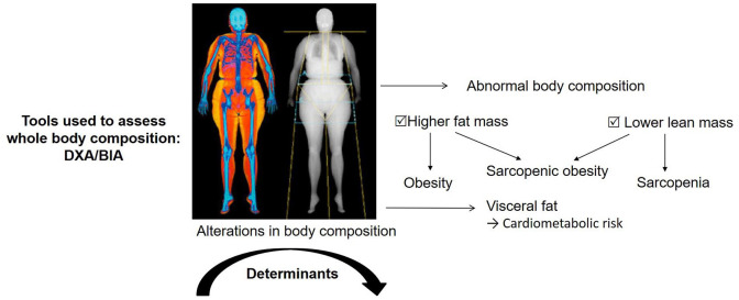 Figure 1.