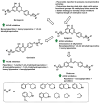 Figure 31
