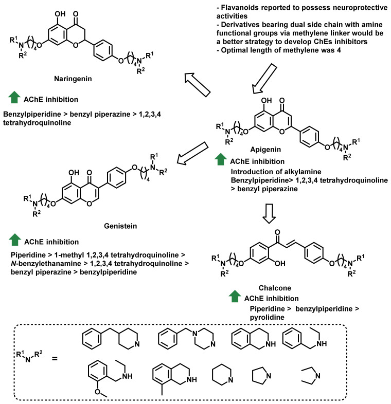 Figure 31