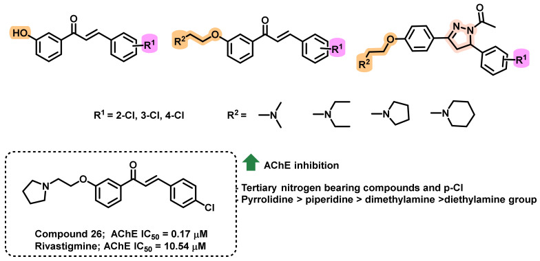 Figure 24