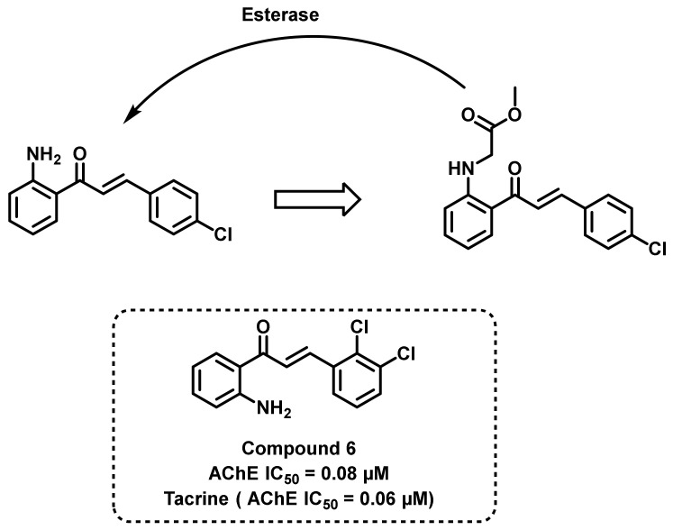 Figure 11