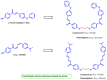 Figure 35