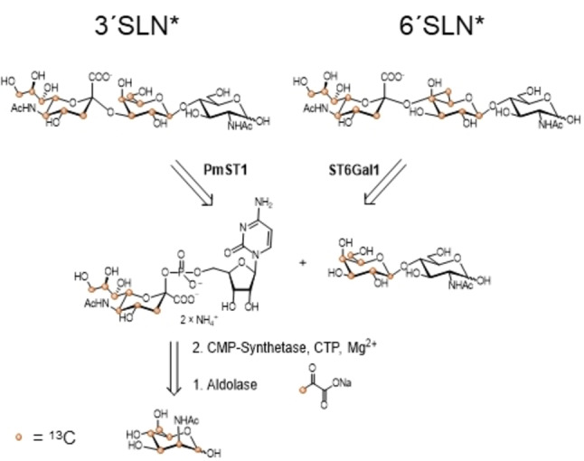 Scheme 1