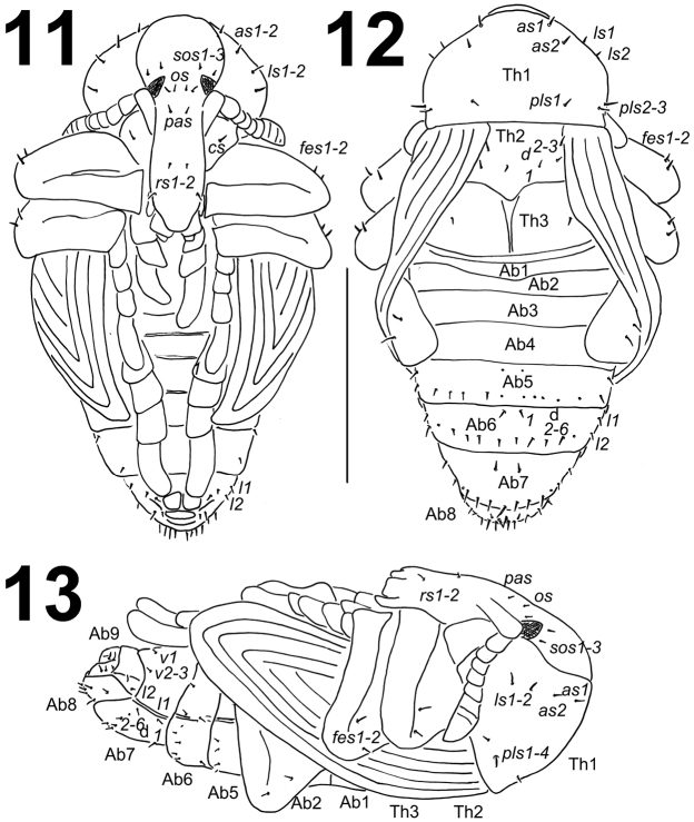 Figures 11–13.