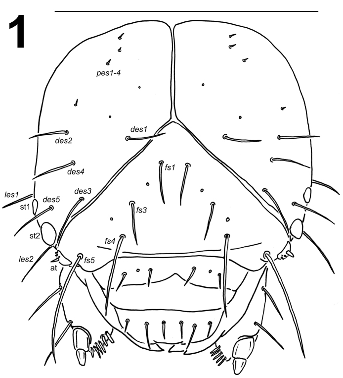 Figure 1.