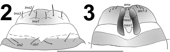 Figures 2–3.