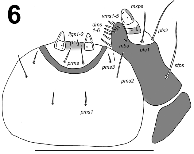 Figure 6.