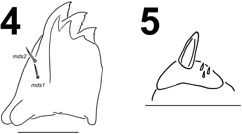 Figures 4–5.