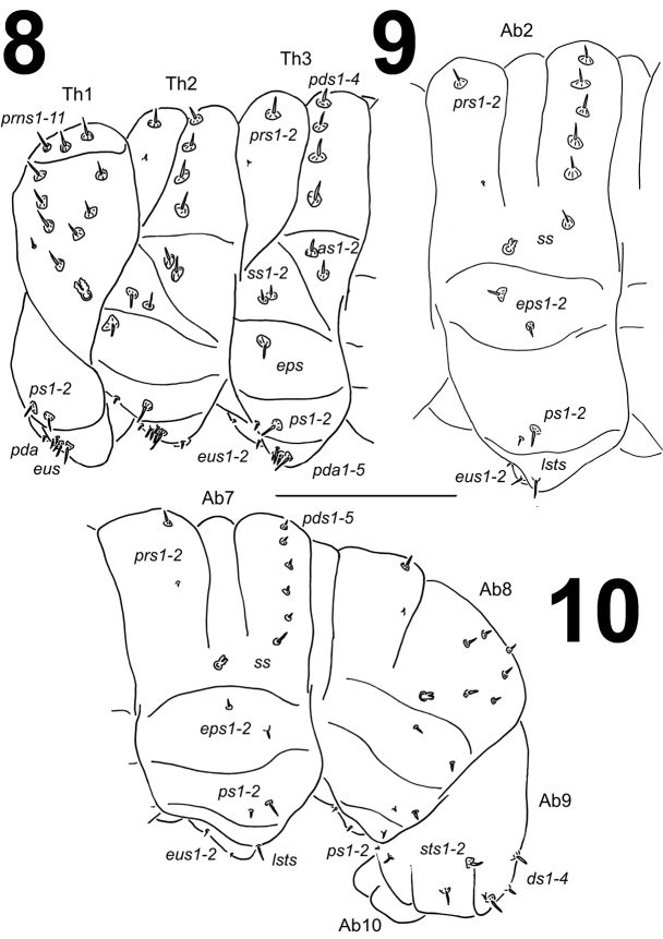 Figures 8–10.