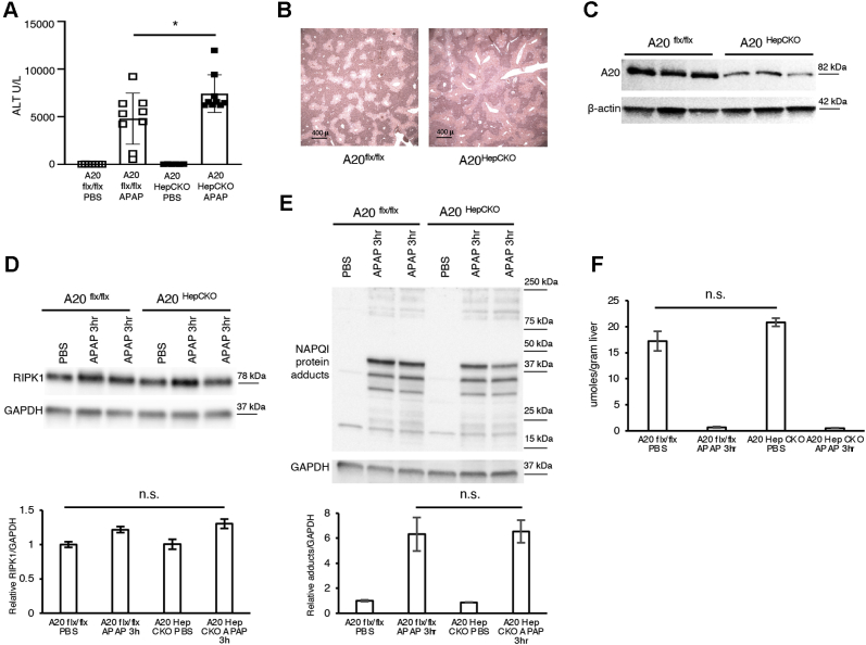 Figure 5