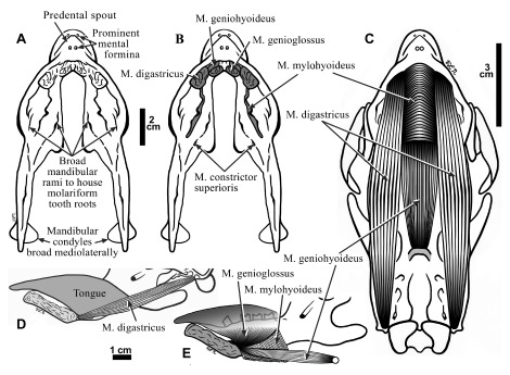 Figure 7. 