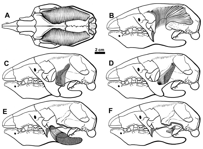 Figure 10. 