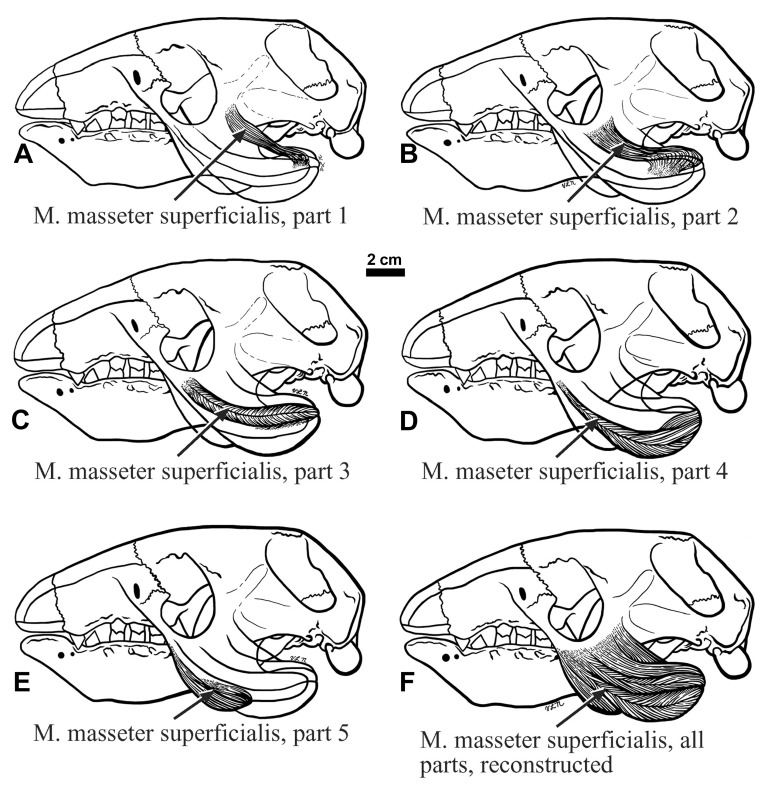 Figure 9. 