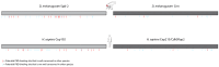 Figure 2—figure supplement 1.