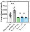 Figure 5—figure supplement 1.