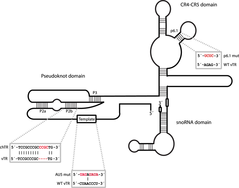 FIGURE 3.