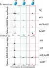Figure 6—figure supplement 1.