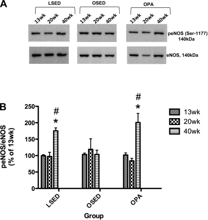 Fig. 8.