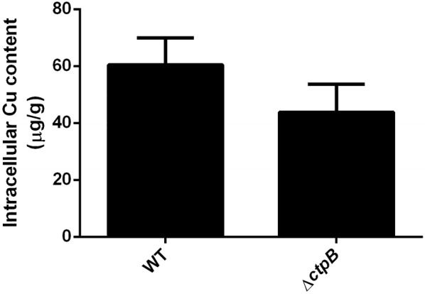 Fig. 7