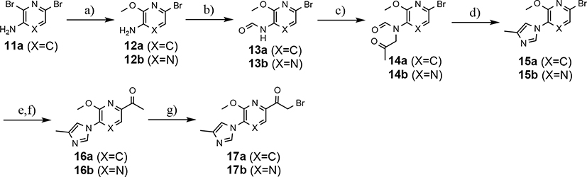 Scheme 3.