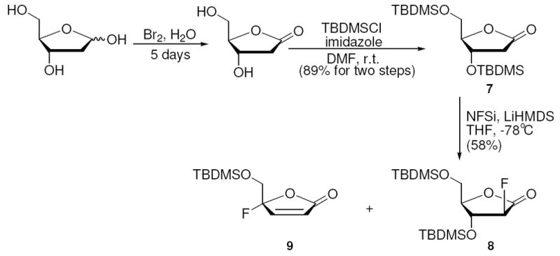 Scheme 5