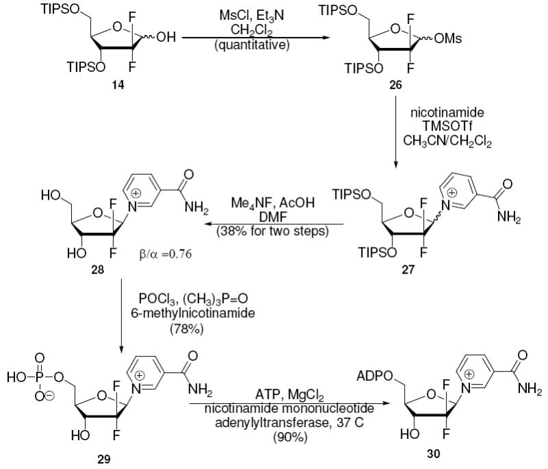 Scheme 12