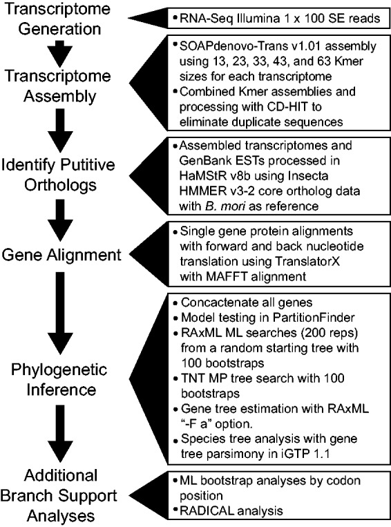 Fig. 2.—