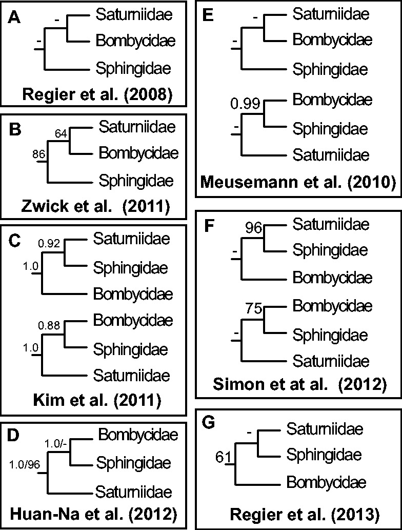 Fig. 1.—