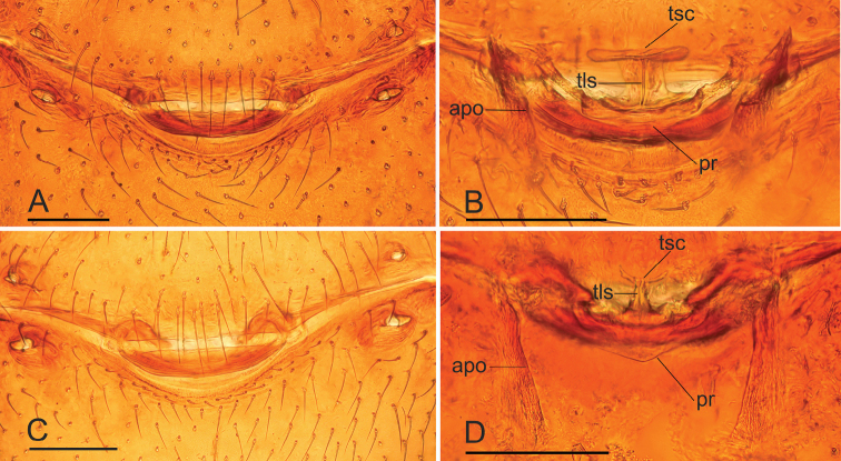 Figure 9.