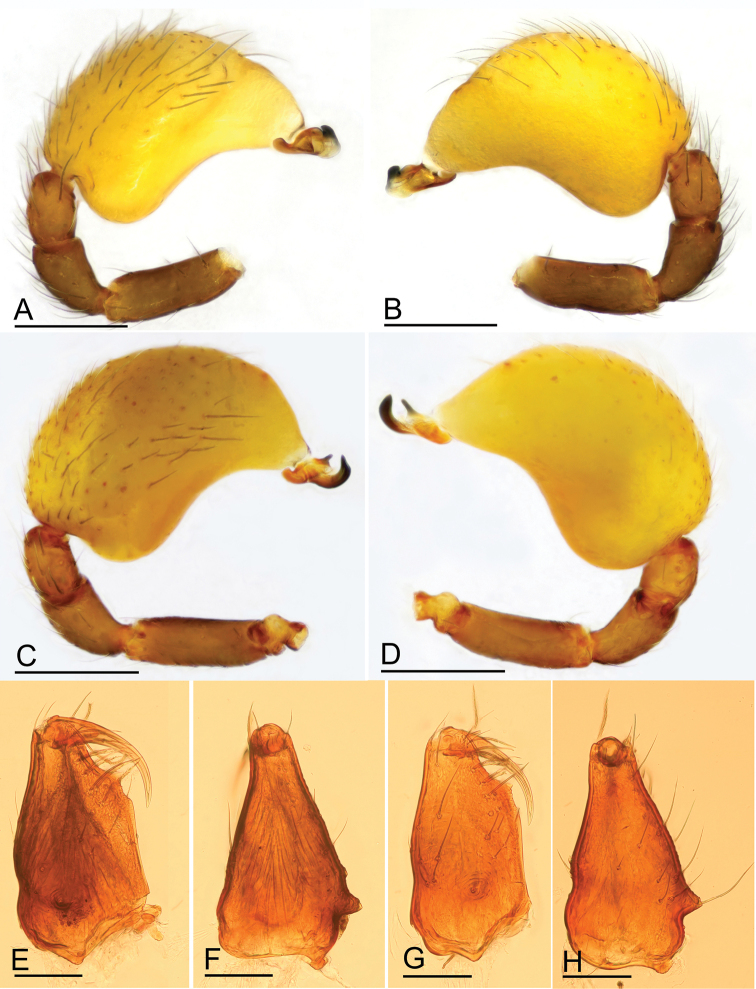 Figure 7.