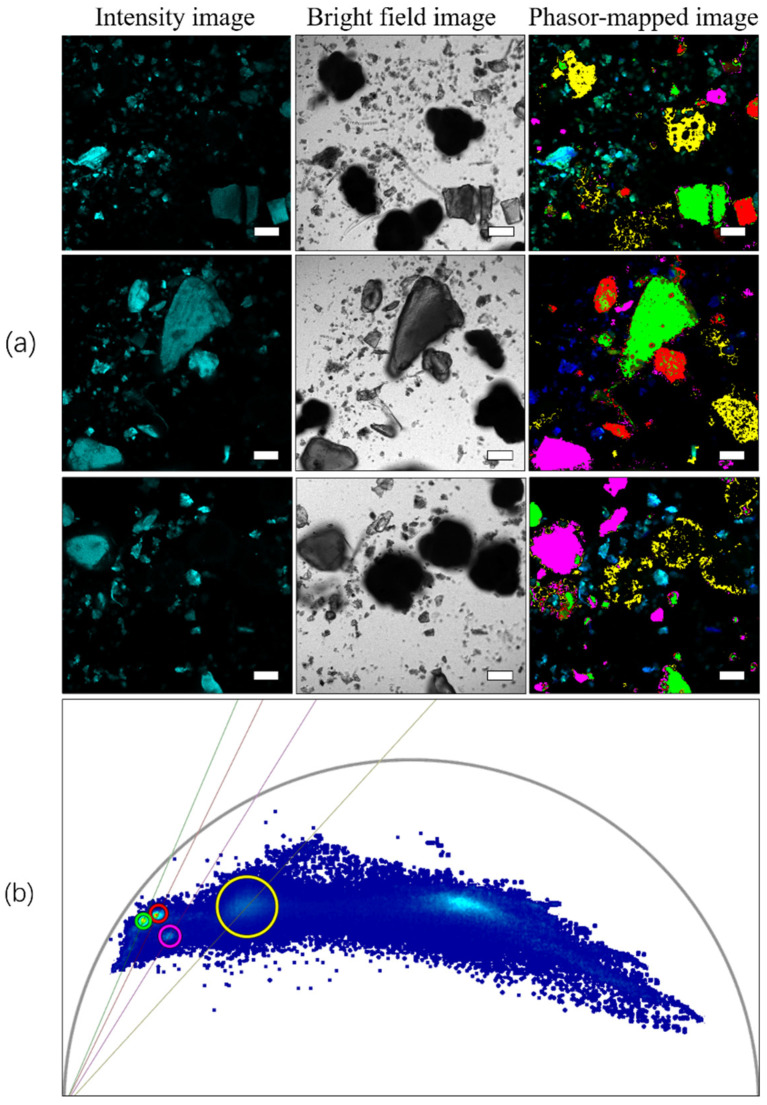 Figure 12