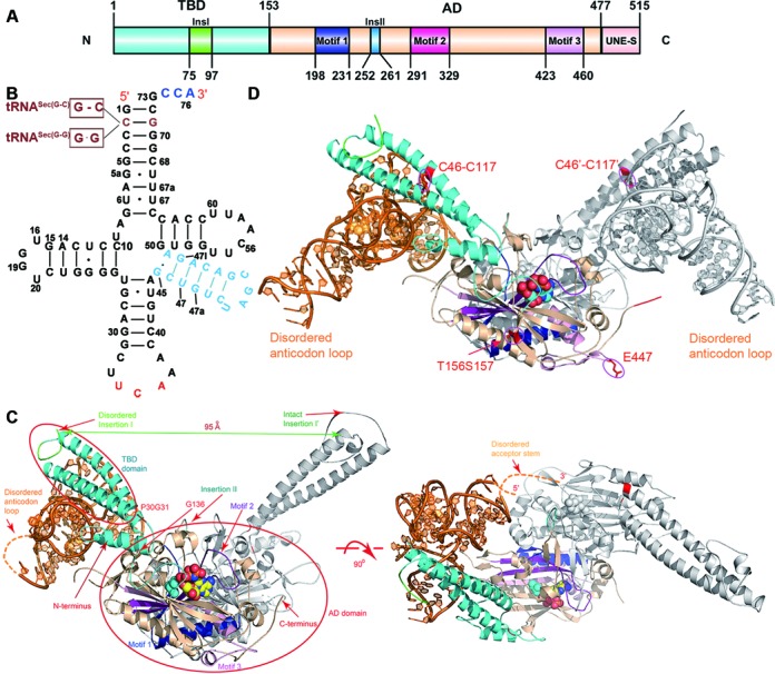 Figure 1.