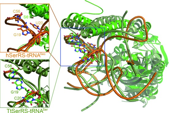 Figure 6.