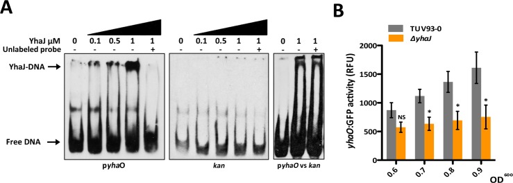 Fig 7